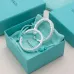 Tiffany Designer Style earrings  and  original box #A65172