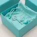 Tiffany Designer Style earrings  and  original box #A65173