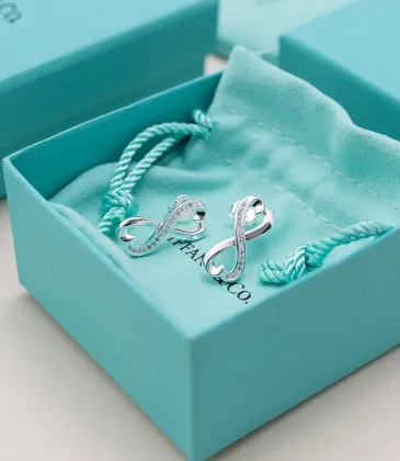 Tiffany Designer Style earrings  and  original box #A65181