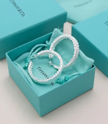 Tiffany Designer Style earrings  and  original box #A65184