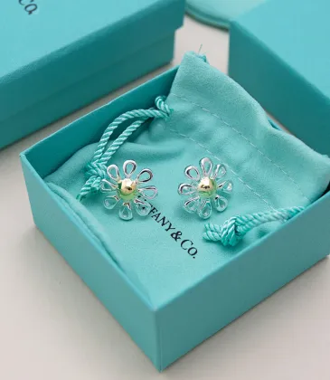 Tiffany Designer Style earrings  and  original box #A65192