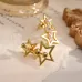 D-ior Earrings #A52896