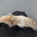 Canada Goose Down Jackets #B68777