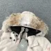 Canada Goose Down Jackets #B68778