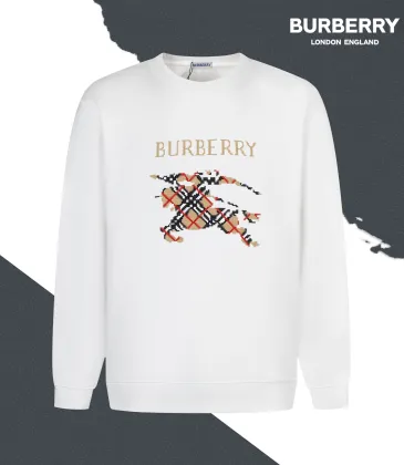 Burberry Hoodies for Men #B68916