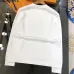 Chanel Hoodies for Men  #A58610