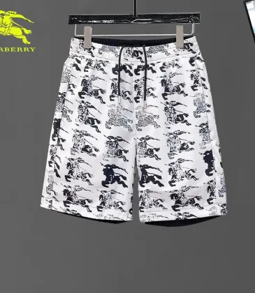 Burberry Pants for Burberry Short Pants for men #A65640