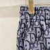 Dior Pants #A64545