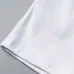 Louis Vuitton Pants for Louis Vuitton Short Pants for men #A60045