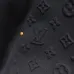 Louis Vuitton Pants for Louis Vuitton Short Pants for men #A60450