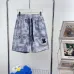 Louis Vuitton Pants for Louis Vuitton Short Pants for men #A60466
