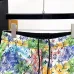 Louis Vuitton Pants for Louis Vuitton Short Pants for men #A65626