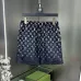 Louis Vuitton Pants for Louis Vuitton Short Pants for men #A65764