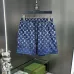 Louis Vuitton Pants for Louis Vuitton Short Pants for men #A65764