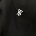 Burberry Shirts for Burberry Men's AAA+ Burberry Long-Sleeved Shirts #A58532