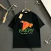 Burberry T-Shirts for Burberry  AAAA T-Shirts #A65944