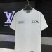 Louis Vuitton T-Shirts for AAAA Louis Vuitton T-Shirts #A64952