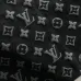 Louis Vuitton T-Shirts for Men' Polo Shirts #A49529