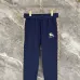 Burberry Tracksuits for Men's long tracksuits #B68640