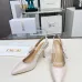 D-ior Shoes for D-ior High-heeled Shoes for women #A53221