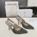 D-ior Shoes for D-ior High-heeled Shoes for women #A59691