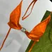 Gucci bikini #A65872